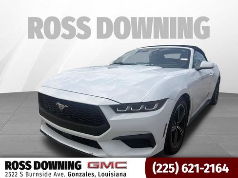 Used 2024 Ford Mustang Premium RWD image 1