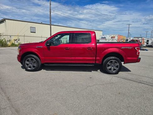 Used 2020 Ford F150 XLT w/ Equipment Group 302A Luxury AWD/4WD image 8
