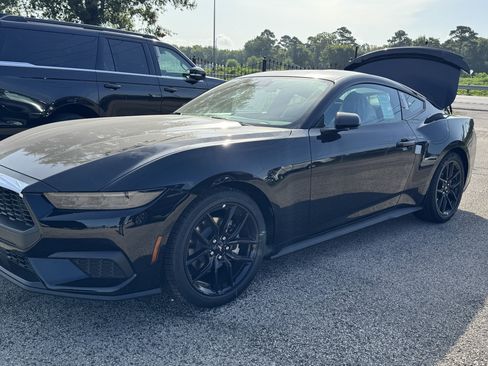New 2026 Ford Mustang Coupe w/ Mustang Nite Pony Package RWD image 5
