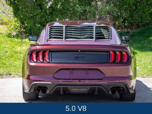 Used 2018 Ford Mustang GT w/ Equipment Group 301A RWD image 6
