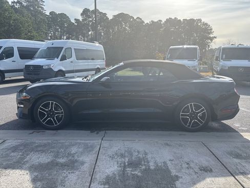 Used 2019 Ford Mustang Premium image 8