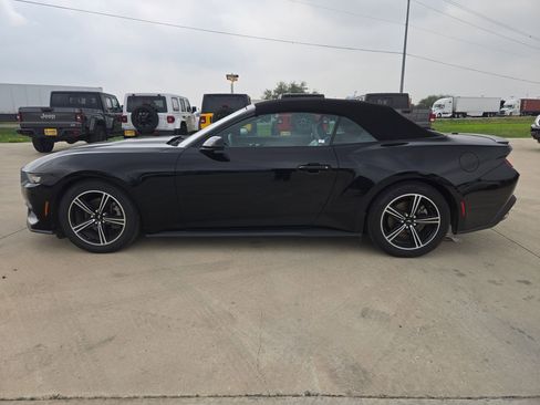 Used 2024 Ford Mustang Premium RWD image 6