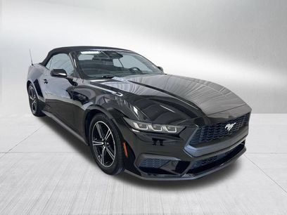 Used 2025 Ford Mustang Premium