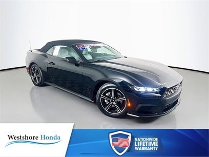 Used 2024 Ford Mustang Premium