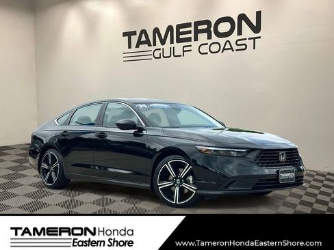 Used 2025 Honda Accord Sport image 1