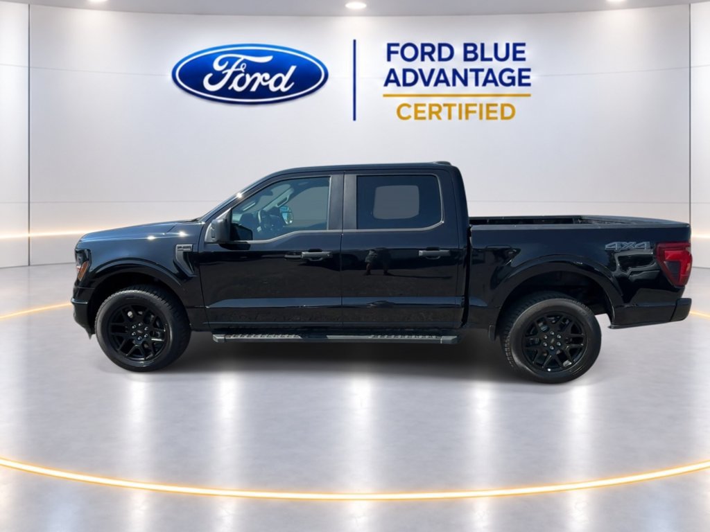 Certified 2024 Ford F150 STX w/ STX Black Appearance Package AWD/4WD image 6