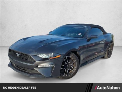 Used 2018 Ford Mustang Premium w/ Equipment Group 201A RWD image 1