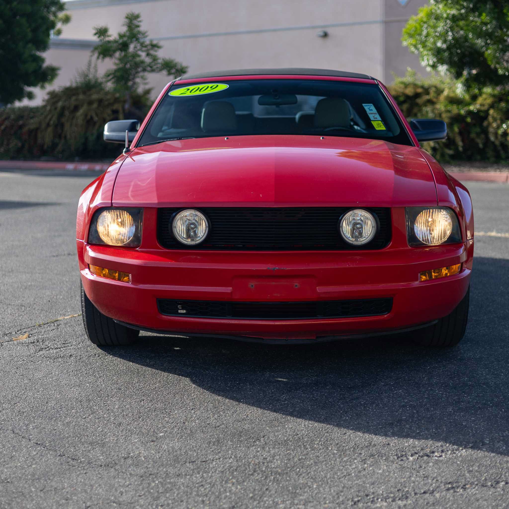 Used 2009 Ford Mustang Premium RWD image 2