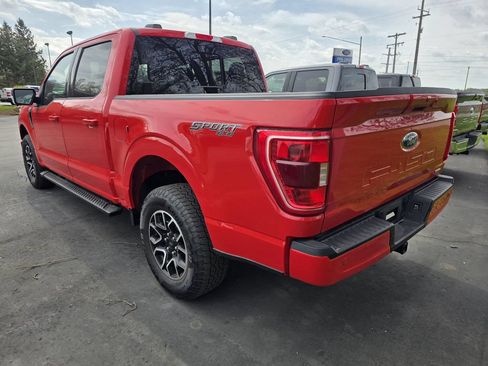 Used 2023 Ford F150 XLT w/ Equipment Group 302A High AWD/4WD image 8