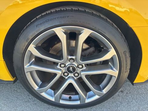 Used 2018 Ford Mustang GT Premium w/ Equipment Group 401A image 13