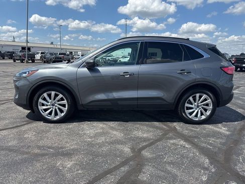 Used 2021 Ford Escape Titanium w/ Titanium Elite Package AWD/4WD image 6