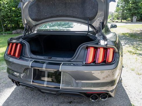 Used 2015 Ford Mustang Shelby GT350 RWD image 77