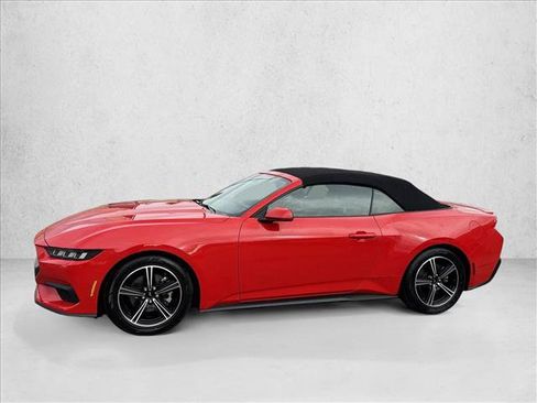 Used 2024 Ford Mustang Premium RWD image 4