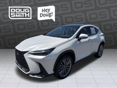 Used 2025 Lexus NX 350h AWD w/ Cold Area Package image 1