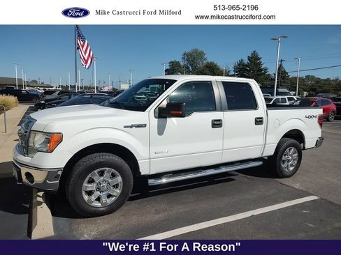 Used 2014 Ford F150 XLT w/ Equipment Group 302A Luxury image 1