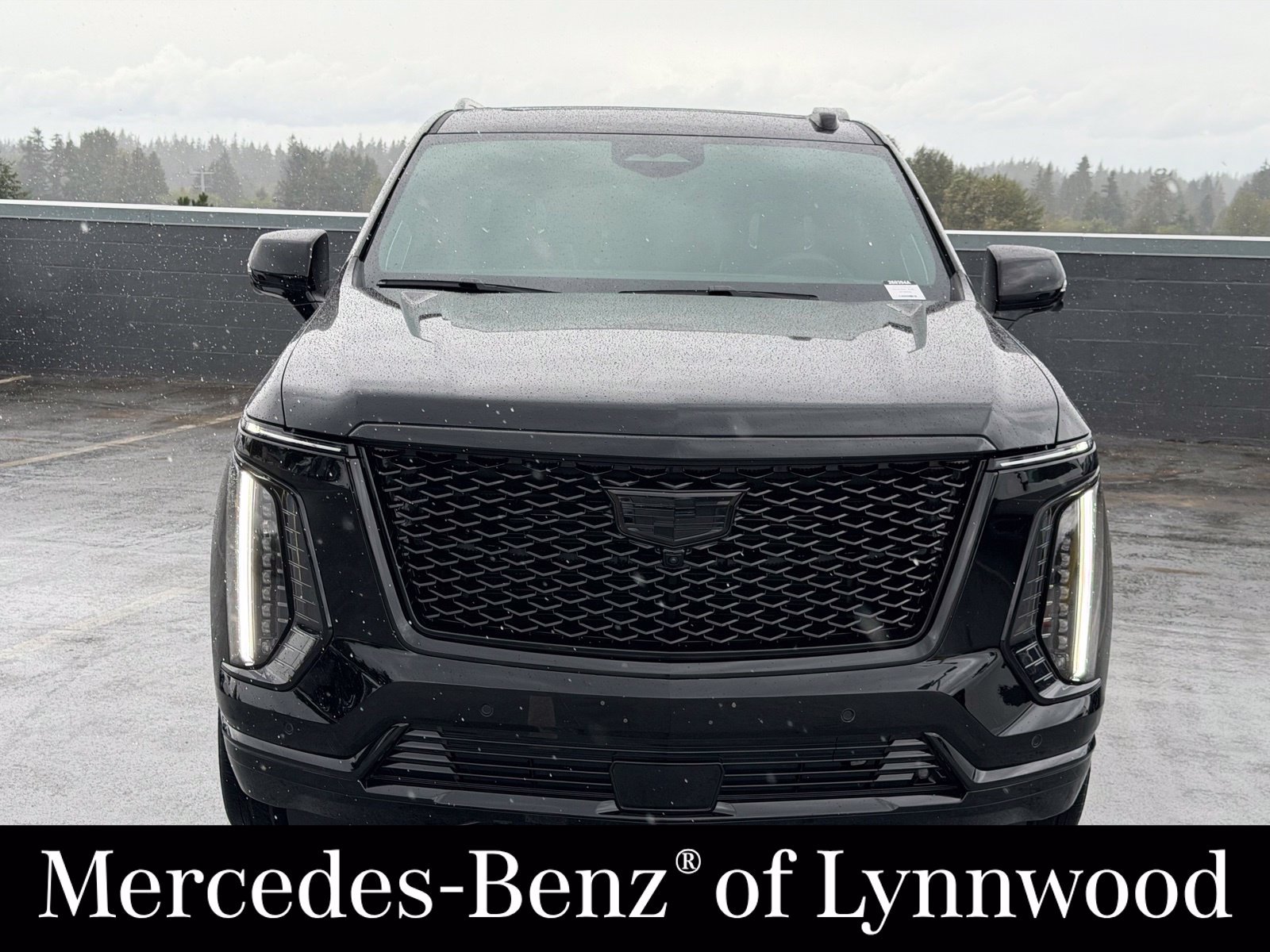 Used 2025 Cadillac Escalade Sport Platinum AWD/4WD image 2