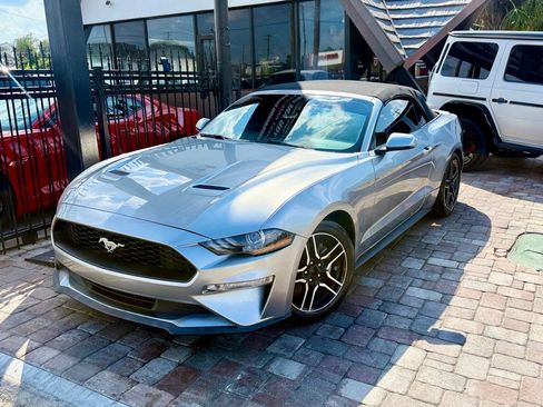 Used 2020 Ford Mustang Premium image 1