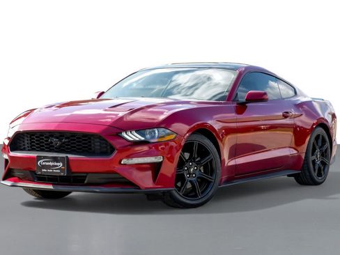 Used 2019 Ford Mustang Coupe w/ Black Accent Package image 4