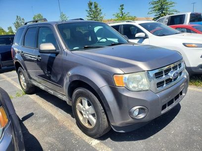 Used 2010 Ford Escape XLT