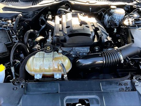 Used 2018 Ford Mustang Coupe w/ Equipment Group 101A image 31