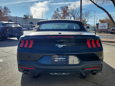 Used 2024 Ford Mustang Premium image 7
