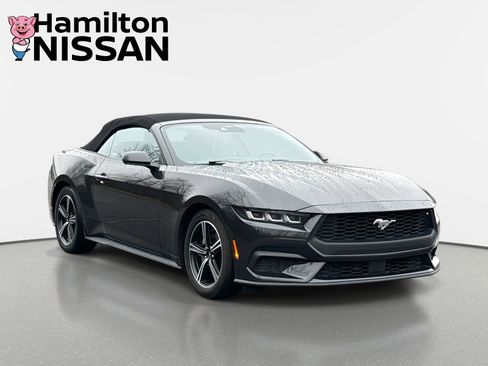Used 2024 Ford Mustang Premium image 1