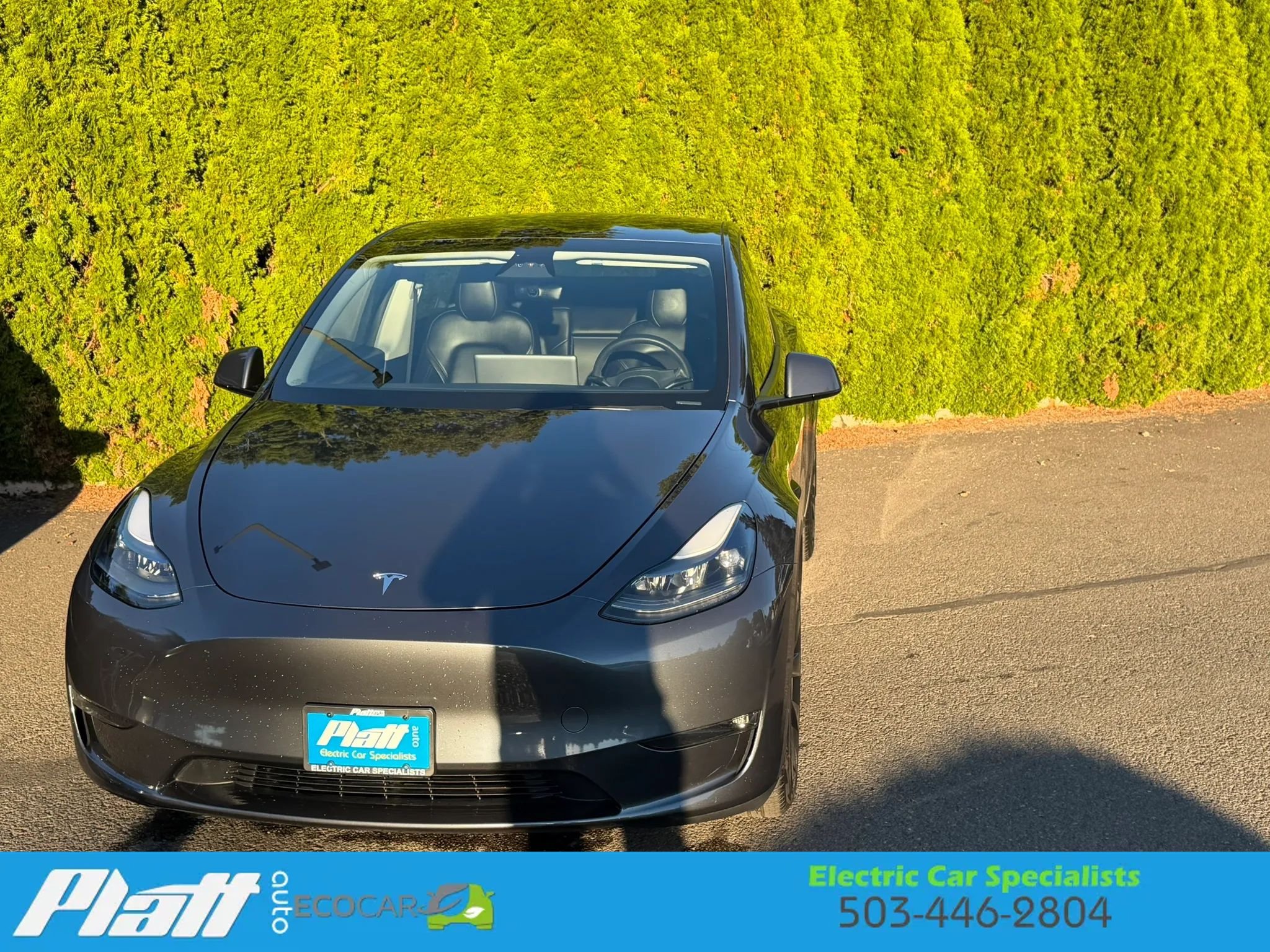 Used 2023 Tesla Model Y Long Range AWD/4WD image 1