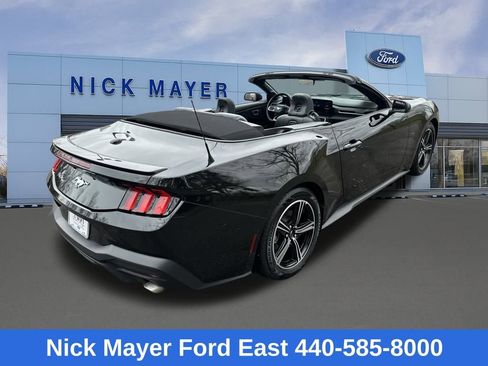 Used 2025 Ford Mustang Premium image 9