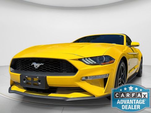 Used 2018 Ford Mustang Premium w/ Equipment Group 201A RWD image 3