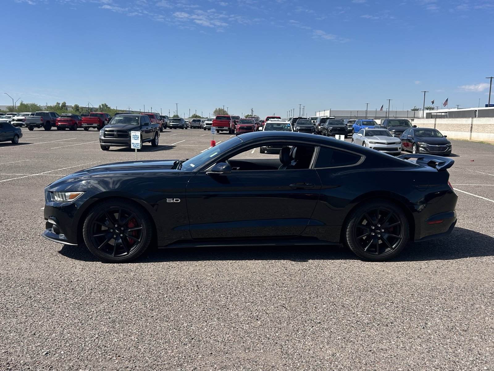 Used 2015 Ford Mustang GT Premium w/ 50 Years Appearance Package RWD image 2
