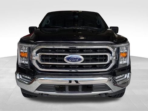 Used 2023 Ford F150 XLT w/ Equipment Group 302A High AWD/4WD image 2