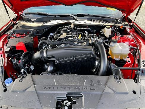 Used 2026 Ford Mustang Coupe RWD image 25