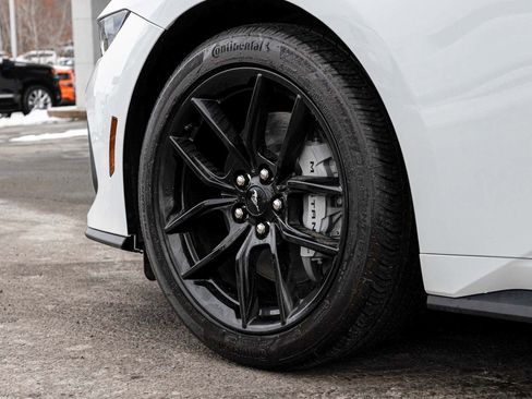 Used 2025 Ford Mustang GT Premium w/ Mustang Nite Pony Package image 7