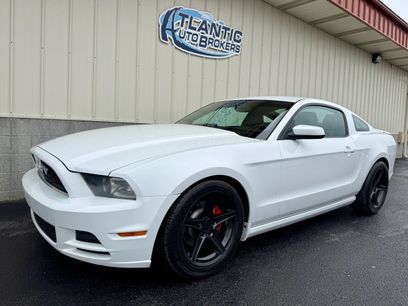 Used 2014 Ford Mustang Premium w/ Equipment Group 201A