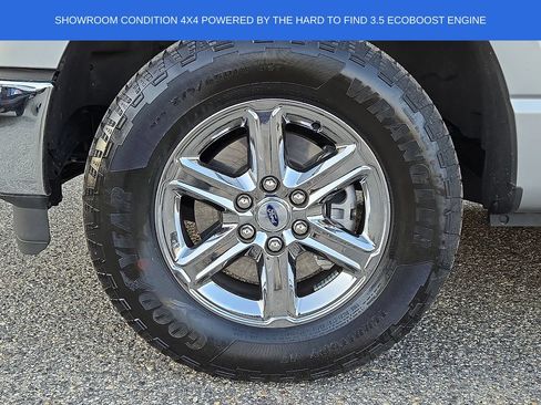 Used 2025 Ford F150 XLT w/ Equipment Group 301A Standard AWD/4WD image 8