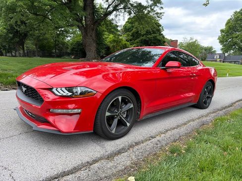 Used 2022 Ford Mustang Coupe RWD image 8