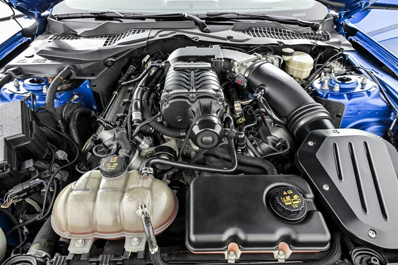 Used 2015 Ford Mustang 50 Years RWD image 12