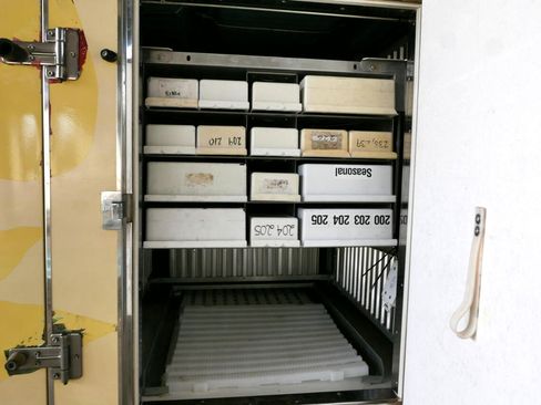 Used 2021 Ford E-450 and Econoline 450 Super Duty image 31