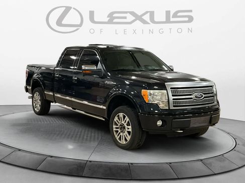 Used 2010 Ford F150 Platinum image 7