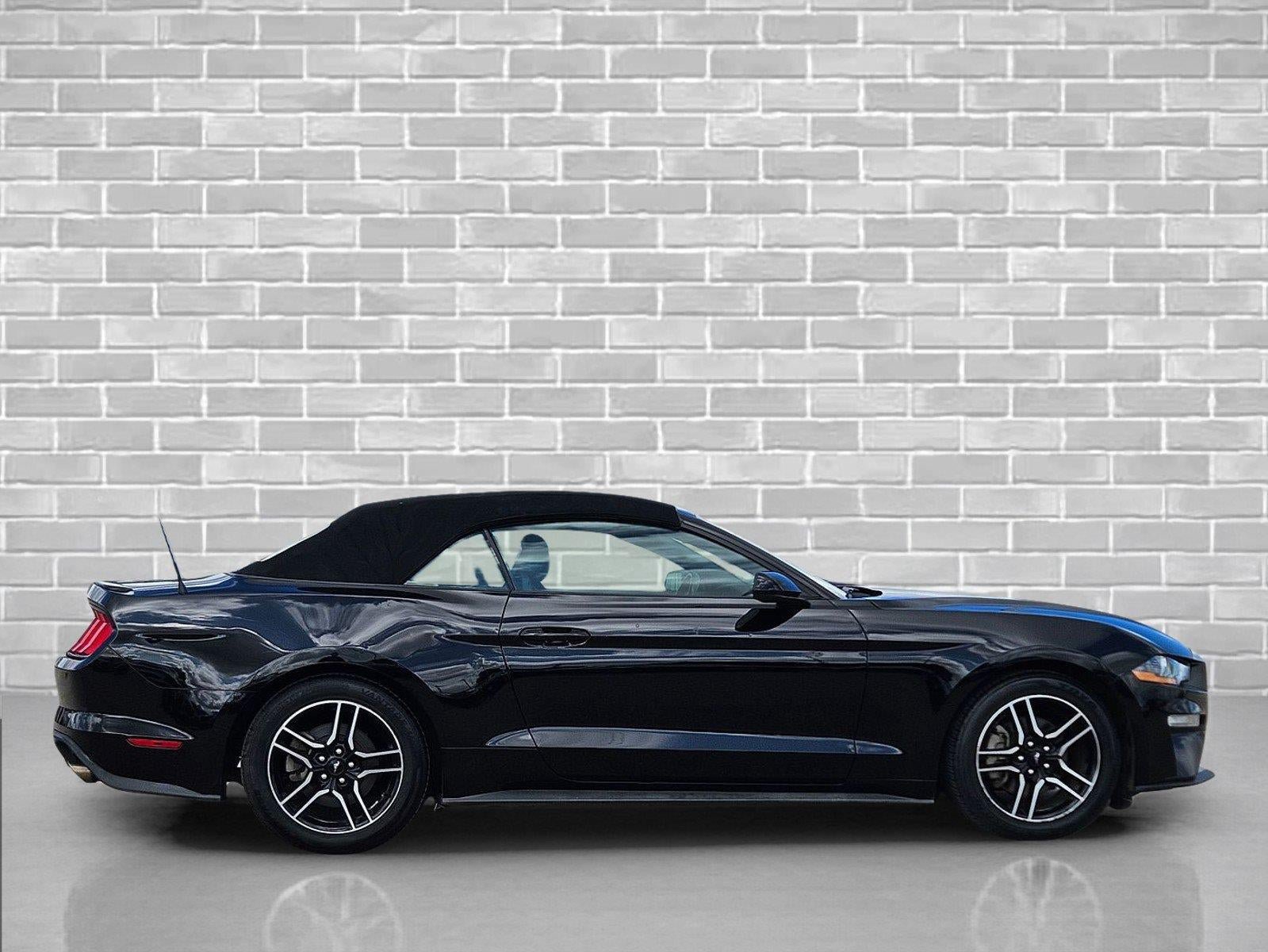 Used 2023 Ford Mustang Premium RWD image 4