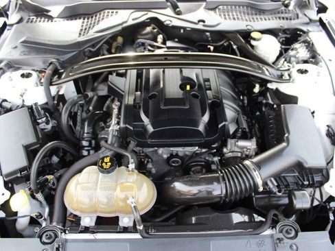 Used 2019 Ford Mustang Premium w/ Ecoboost Performance Package RWD image 8