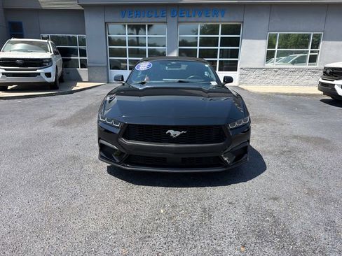 Used 2024 Ford Mustang Premium image 2