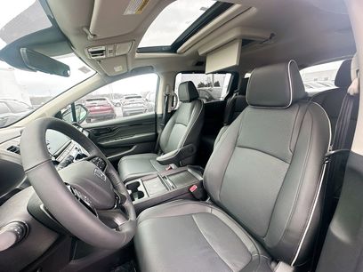 New 2026 Honda Odyssey Elite