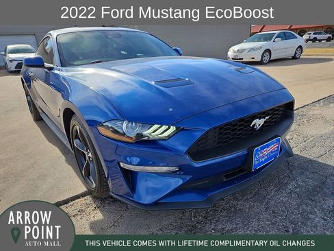 Used 2022 Ford Mustang Coupe w/ Equipment Group 101A image 2