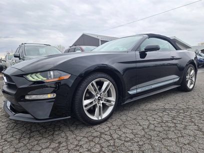 Used 2018 Ford Mustang Premium w/ Equipment Group 201A