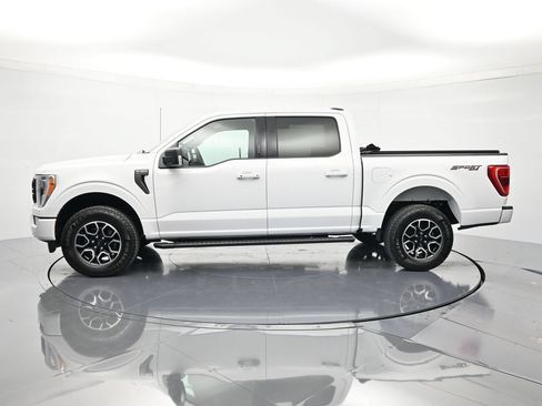 Used 2023 Ford F150 XLT w/ Equipment Group 302A High AWD/4WD image 8