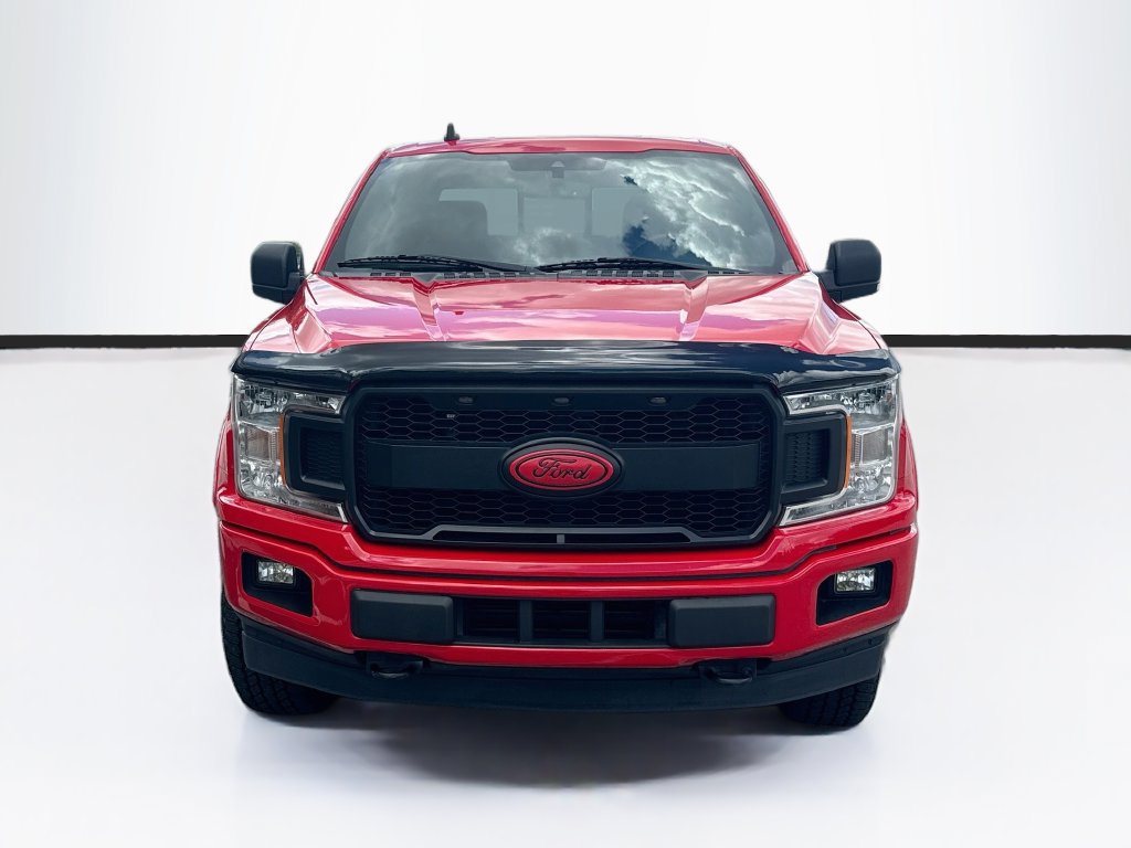 Used 2019 Ford F150 XLT w/ Equipment Group 302A Luxury AWD/4WD image 2