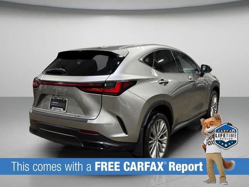 Used 2025 Lexus NX 350h AWD w/ Cold Area Package image 3