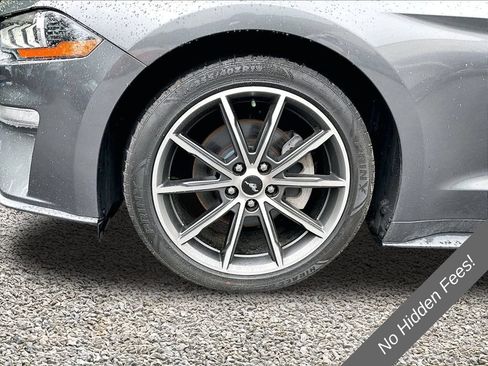 Used 2019 Ford Mustang Coupe w/ Equipment Group 101A RWD image 7