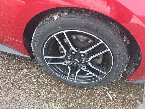 Certified 2023 Ford Mustang EcoBoost w/ Equipment Group 101A image 25